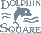 DolphinSquare Logo Blue